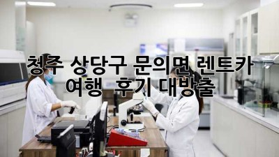 청주 상당구 문의면 렌트카 여행 🚗💨 후기 대방출!
